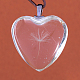Pendentifs de coeur de verre en alliage GLAA-Q049-20mm-01P-2