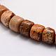 Natural Picture Jasper Beads Strands G-P175-05-3