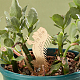 Etichette per piante in ottone vuote AJEW-WH0500-004-4