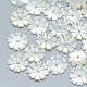 Perles de coquillage blanc naturel SSHEL-S260-013-1