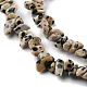Natural Dalmatian Jasper Beads Strands G-G0003-B29-4