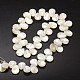 Chapelets de perles de coquille de trochid / trochus coquille SSHEL-K009-06-2