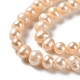 Natural Cultured Freshwater Pearl Beads Strands PEAR-E018-77-3