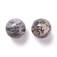 Natural Map Stone Beads G-D456-01-2