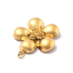 Pendentifs en acier inoxydable 304&nbsp;STAS-D367-01G