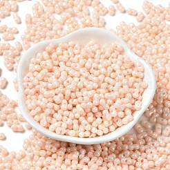 Undurchsichtige Farben Glanz Glas Saatperlen&nbsp;SEED-B001-01A-04