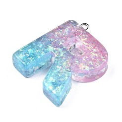 Pendentifs en résine époxy transparente&nbsp;CRES-S364-002R