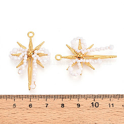 Pendentifs en acier inoxydable 304&nbsp;STAS-N110-34C-G