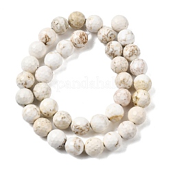 Brins de perles de magnésite naturelle&nbsp;G-P598-E-10mm-03