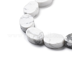 Natürliche Howlith Perlen Stränge&nbsp;G-P559-B05-01