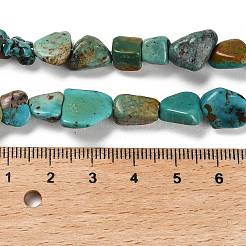 Natur hubei türkisfarbenen Perlen Stränge&nbsp;X-G-P497-01E-19
