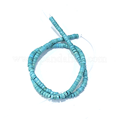 Kunsttürkisfarbenen Perlen Stränge&nbsp;TURQ-G110-4x2mm-09