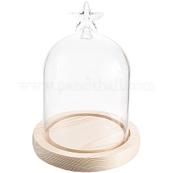 1 couvercle de dôme en verre&nbsp;AJEW-SC0002-61E