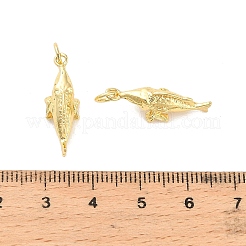 Messing Anhänger & Charms&nbsp;KK-C144-01G