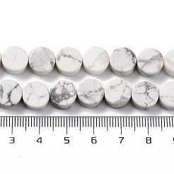 Natürliche Howlith Perlen Stränge&nbsp;G-C159-B01-01