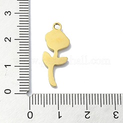 Ionenplattierung (IP) 304 Edelstahlanhänger&nbsp;LS-STAS-B058-17G-05
