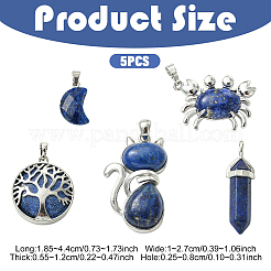 5 pièces 5 styles pendentifs en lapis-lazuli naturel&nbsp;G-YW0003-06B