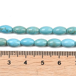 Natürliche Magnesitperlenstränge&nbsp;G-Z143-B01-01