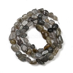 Natur Labradorit Perlen Stränge&nbsp;G-Q060-D02