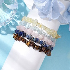 12 constellation de bracelets extensibles en perles de pierres précieuses mélangées naturelles pour femmes et hommes&nbsp;BJEW-JB10264-04