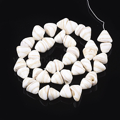 Cuentas de concha de caracol naturales hebras&nbsp;X-SHEL-T011-05