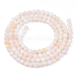Eau douce naturelle de coquillage perles brins&nbsp;BSHE-T009A-01B