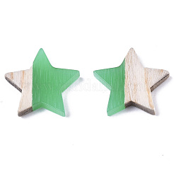 Harz & Holz Cabochons&nbsp;RESI-R425-02D