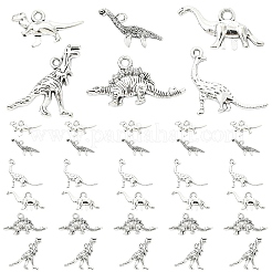 60 pièces 6 styles pendentifs en alliage de style tibétain&nbsp;FIND-YW0011-71