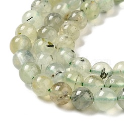 Perline Prehnite naturale fili&nbsp;G-S333-6mm-032