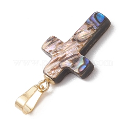 Natürliche Abalone Muschel / Paua Muschel Anhänger&nbsp;PALLOY-JF04927
