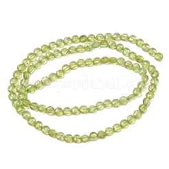 Natürlichen Peridot Perlen Stränge&nbsp;GG-CBA9631-D03-01