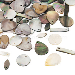 50 stücke 5 arten natürliche schwarz lippe shell & süßwasser anhänger&nbsp;SHEL-TA0001-22