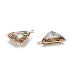 Natur Paua Muschel Anhänger&nbsp;KK-K252-07G-02