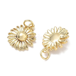 Pendentifs en laiton&nbsp;KK-D289-20G