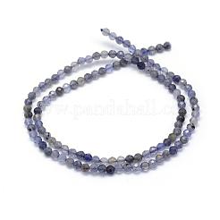 Chapelets de perles en cordiérite naturelle/Iolite/Dichroite&nbsp;G-E411-39-3mm
