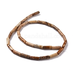 Natürliches Bild Jaspis Perlen Stränge&nbsp;G-D464-13