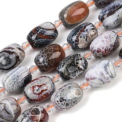 Naturelles feu crépitent agate perles brins&nbsp;G-K393-G04-12x16