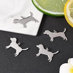 4 Stück Anhänger aus 304 Edelstahl&nbsp;STAS-FS0002-01A