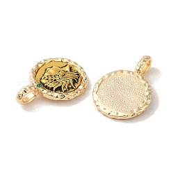 Messing Anhänger & Charms&nbsp;KK-S368-15G
