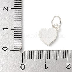 Ciondolo in argento sterling s925&nbsp;LS-STER-H115-05B-S01