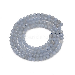 Chapelets de perles en angélite naturelle&nbsp;G-Z079-A01-02
