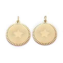 Pendentifs en acier inoxydable 304 avec placage ionique (IP)&nbsp;STAS-F256-052G