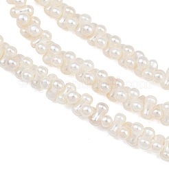 Perles de perles de coquille galvanoplastie&nbsp;SH-CBA94AD-01
