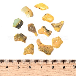 Perline di pepite di conchiglia di madreperla naturale tinta&nbsp;BSHE-O007-10C