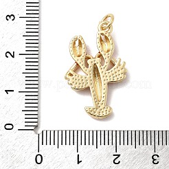 Messing Anhänger & Charms&nbsp;KK-H519-12G