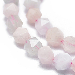 Naturperlen Stränge morganite&nbsp;G-K303-B03-10mm