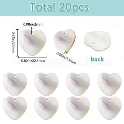 20 Stück natürliche schwarze Lippenmuschel-Anhänger&nbsp;BSHE-SC0001-26