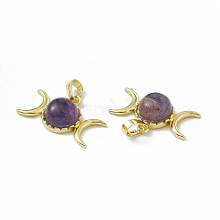 Natürlichen Amethyst Edelsteinanhänger&nbsp;G-H283-02A