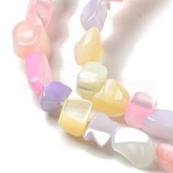 Regenbogenfarben gefärbte Stränge natürlicher Süßwassermuschelperlen&nbsp;SHEL-G018-02E