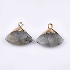 Pendentifs de labradorite naturelle&nbsp;X-G-T112-04A